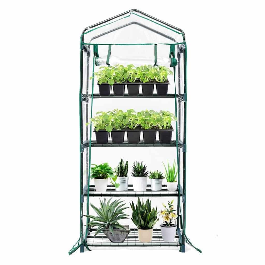 Are You Looking For Best Mini Greenhouses in 2022?